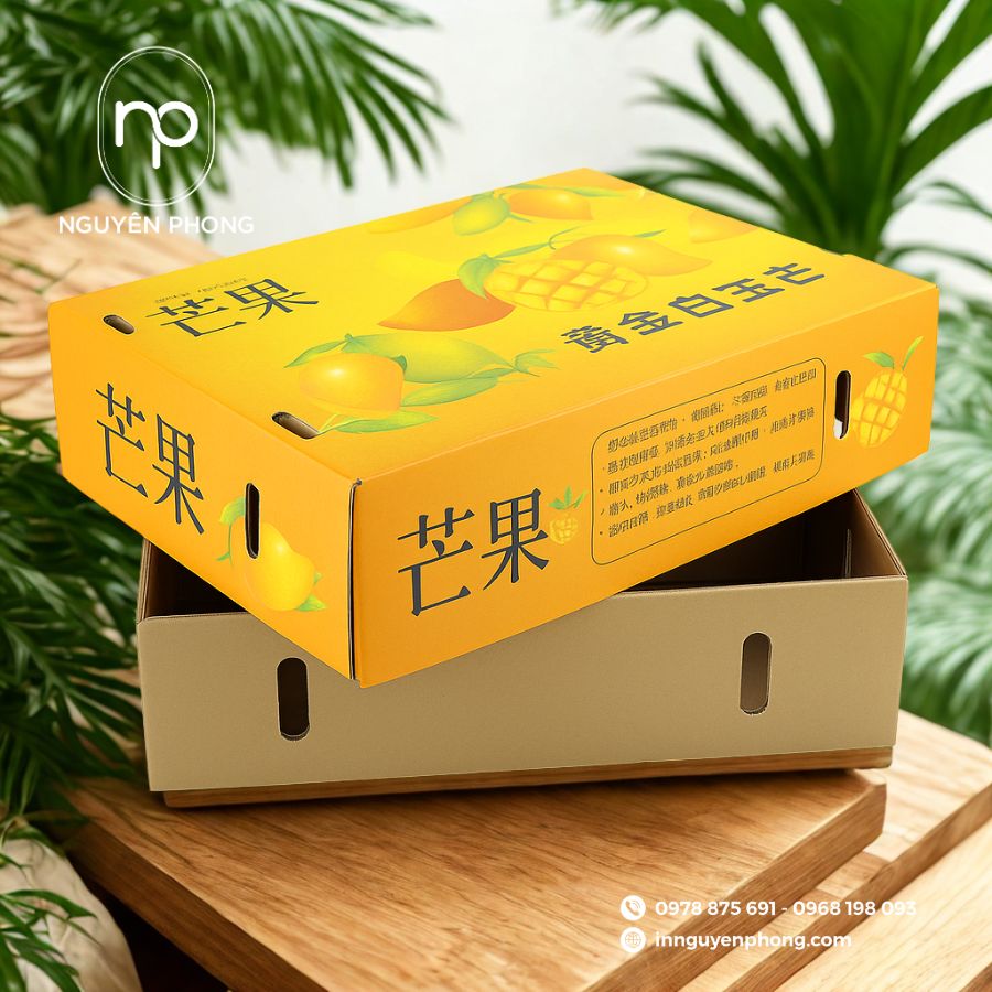 in-hop-carton dung-xoai-gia-re-tai=ha-noi